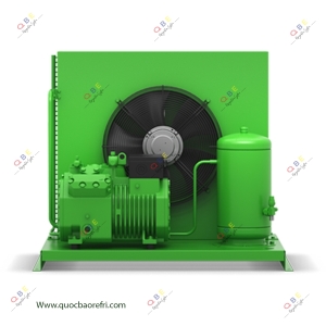 Cụm Máy Nén Dàn Ngưng Giải Nhiệt Gió Bitzer