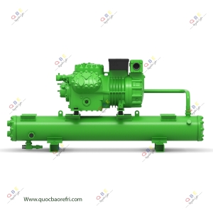 Cụm Máy Nén Dàn Ngưng Giải Nhiệt Nước Bitzer