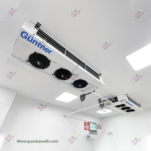 Dàn Lạnh DUAL COMPACT AIR COOLER - GUNTNER