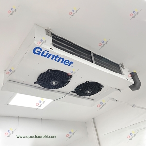 Dàn Lạnh DUAL COMPACT AIR COOLER - GUNTNER
